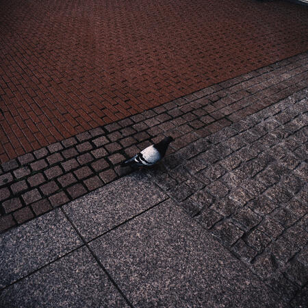 Untitled